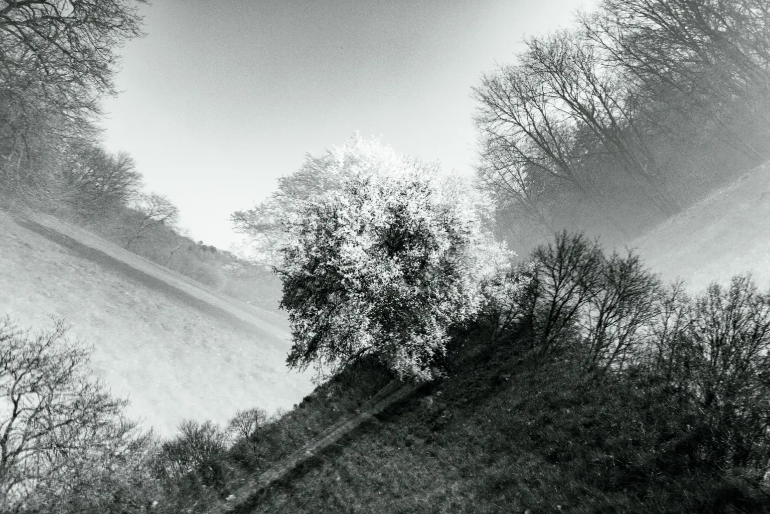 4 Karl Heinz Schmitz X Natur