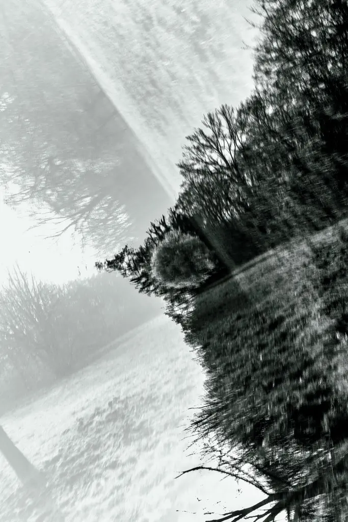5 Karl Heinz Schmitz X Natur