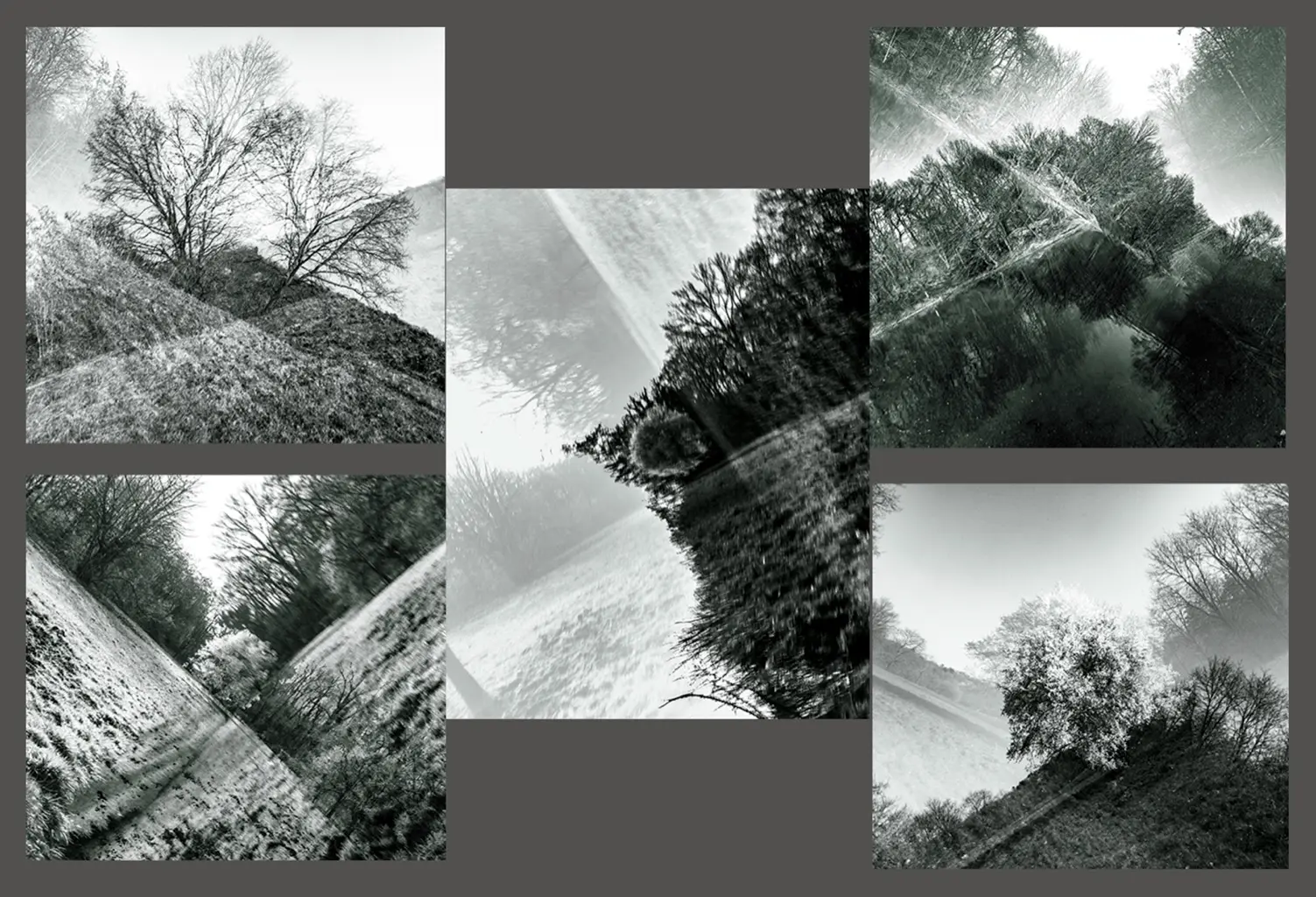 6 Karl Heinz Schmitz X Natur Vereint