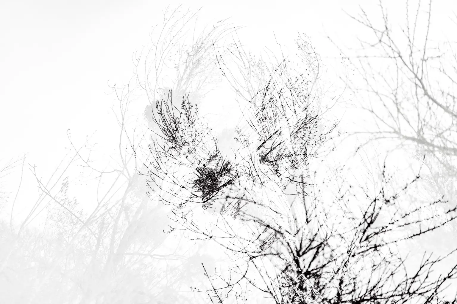 7 Karl Heinz Schmitz X Natur Verdeckt
