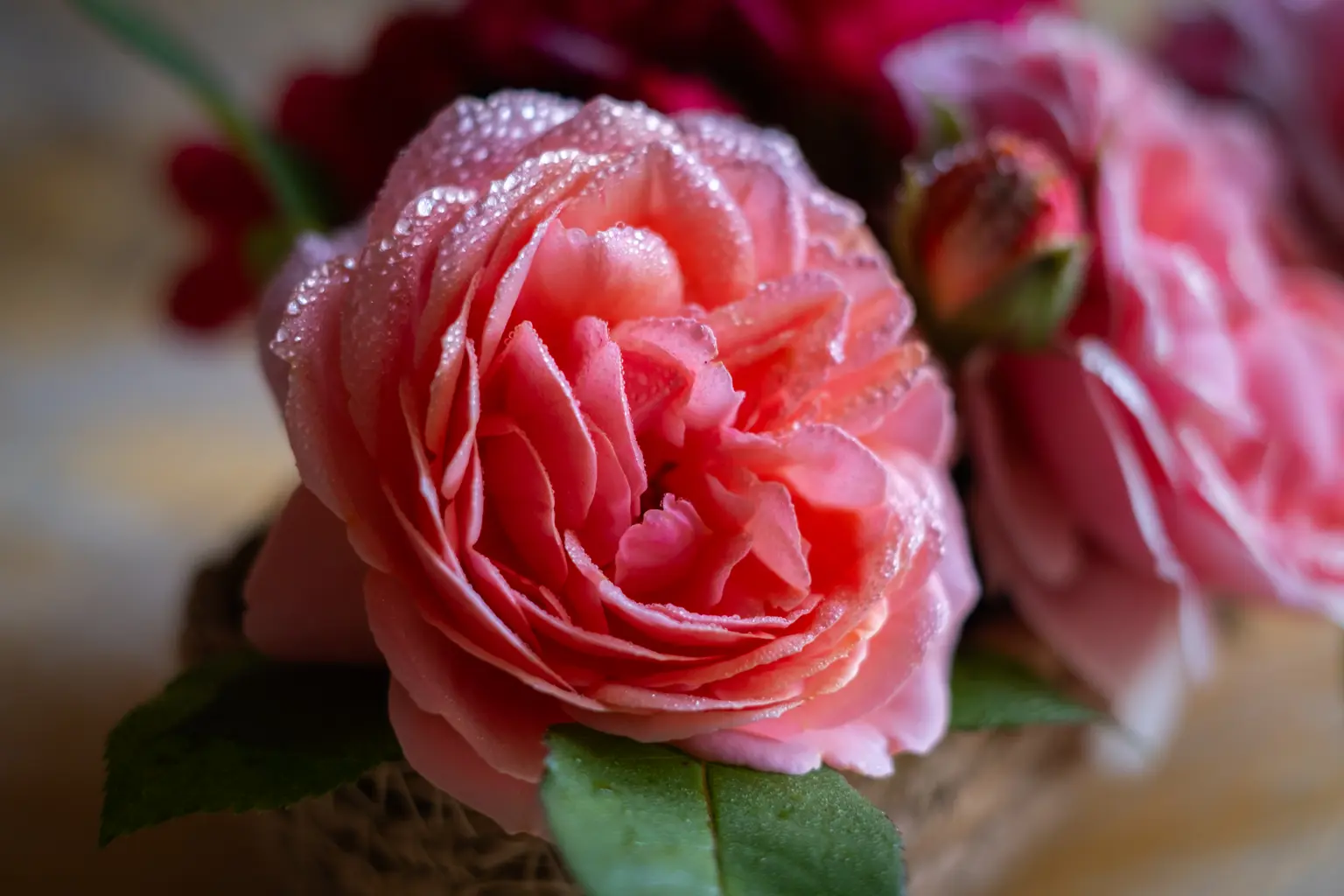 Ewen_02-DSCF1947a