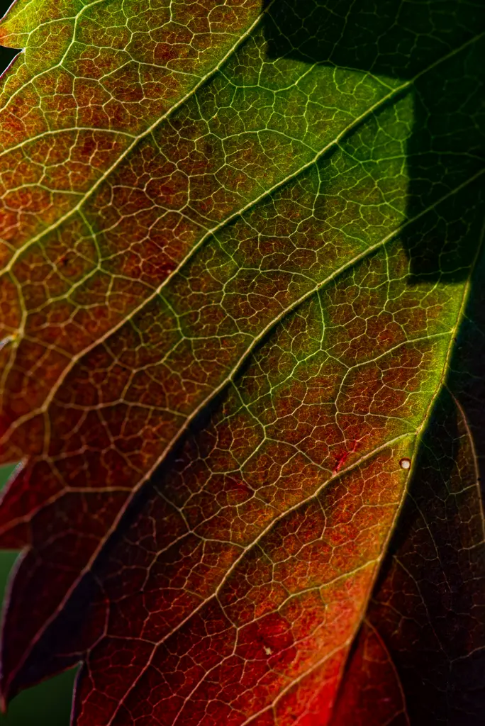 Schindler_01_Schoenheit-im-Herbst-2026-1